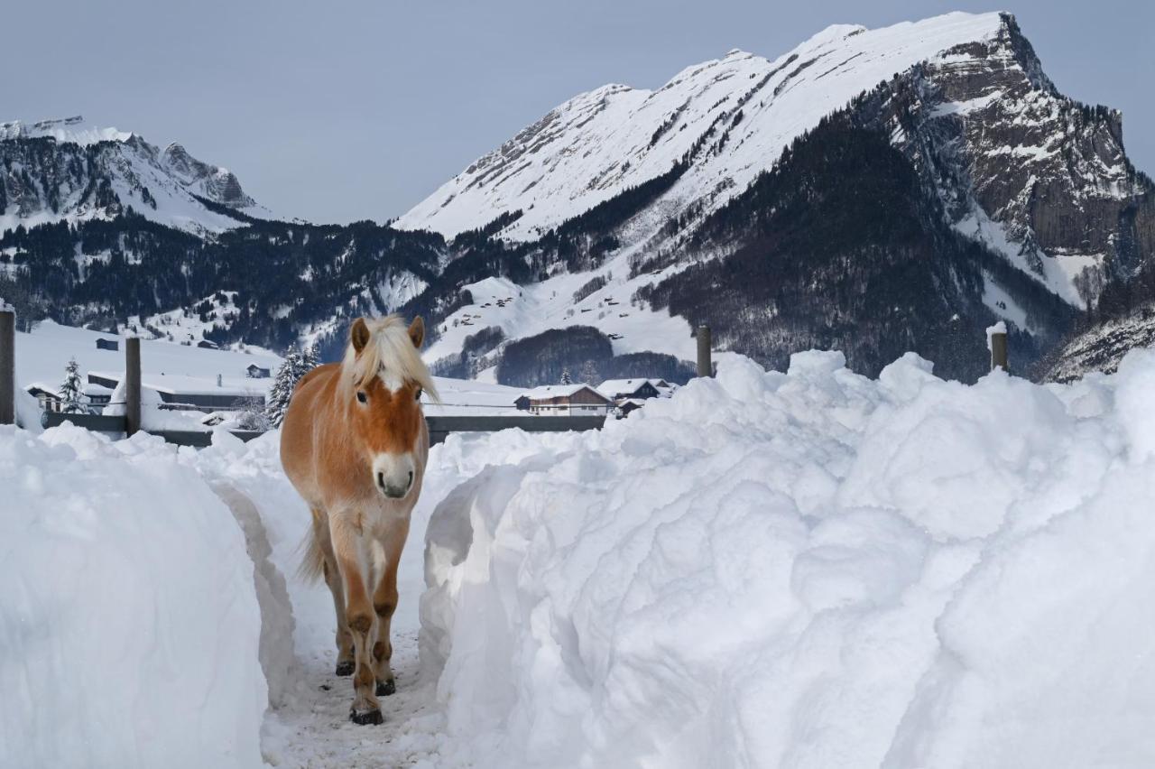 Appartamento Haus Bergquell Au (Vorarlberg) Esterno foto